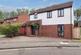 Avocet close
