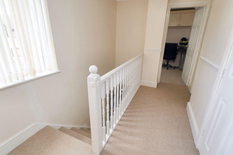 Avocet close