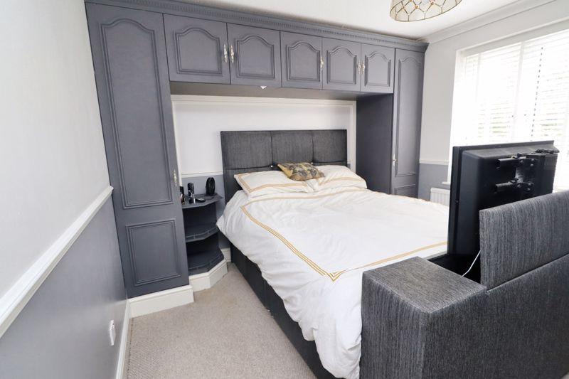 Avocet close