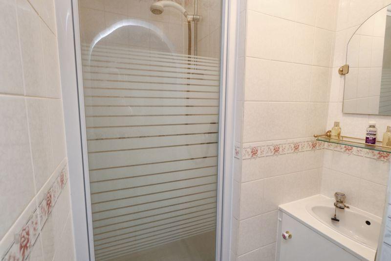 Avocet close
