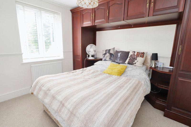 Avocet close