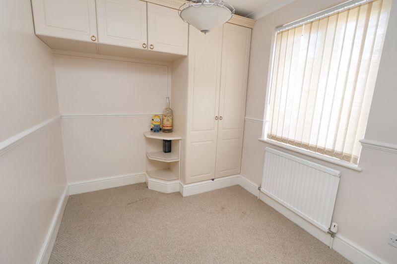 Avocet close