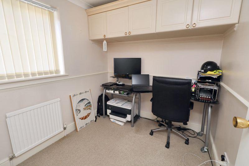 Avocet close
