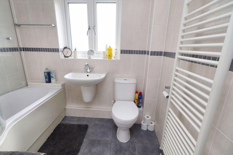 Avocet close