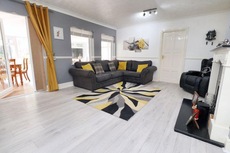 Avocet close