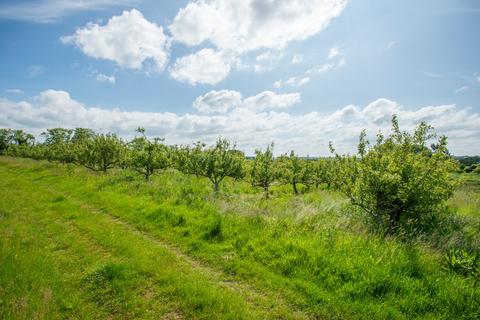 Land for sale, Lot 2: Charlton Orchard, Charlton, Creech St. Michael, Taunton, TA3