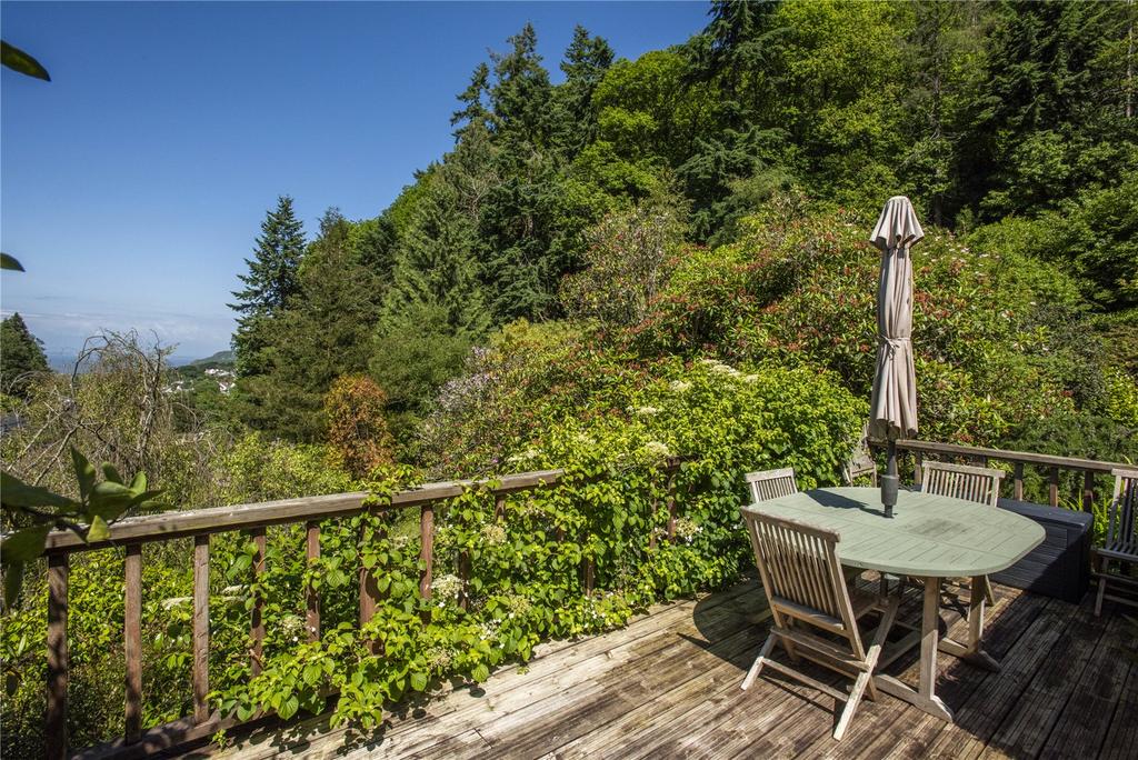 Deck View