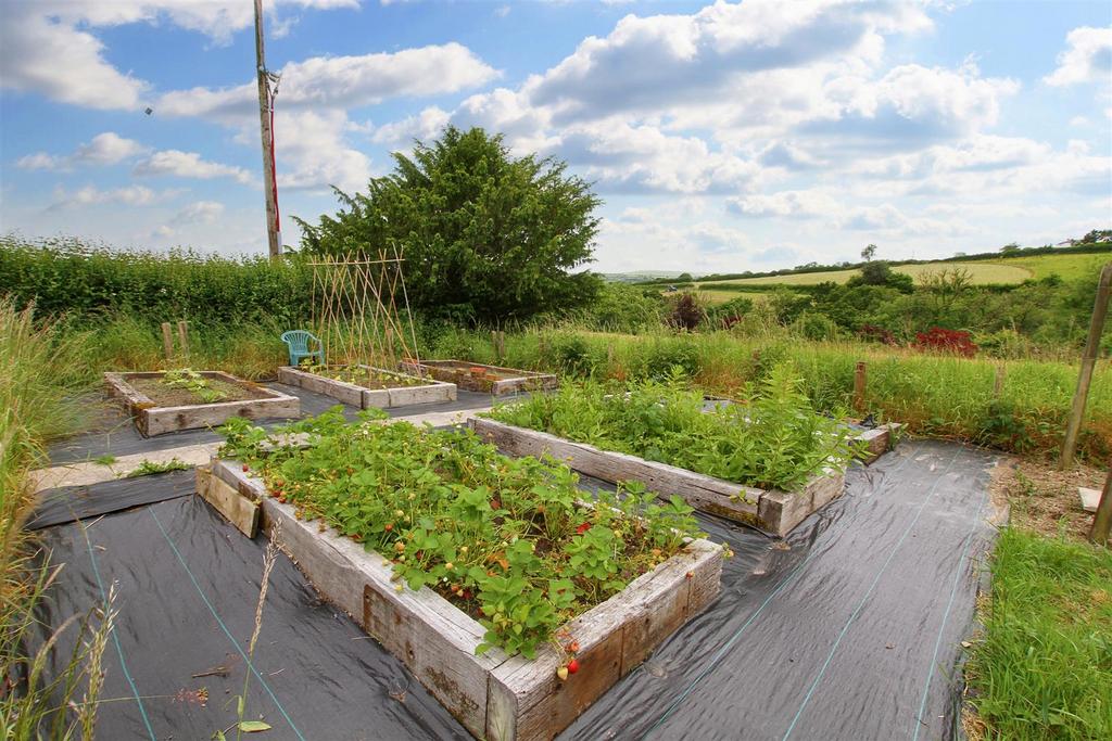 Veg plot