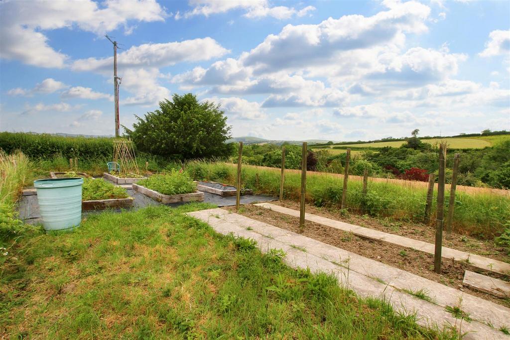 Veg Plot