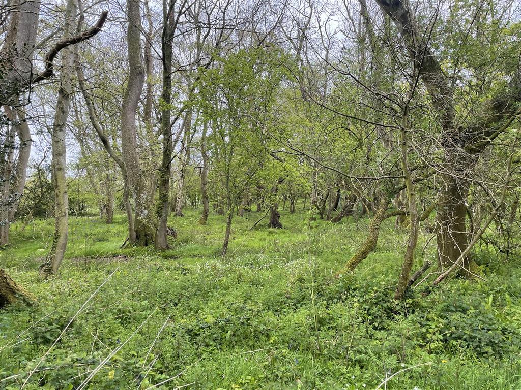 Pic 5.jpg