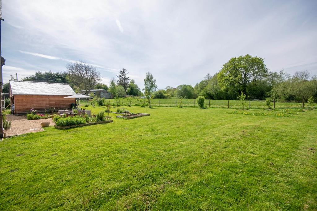 Grass &amp; Garden.jpg