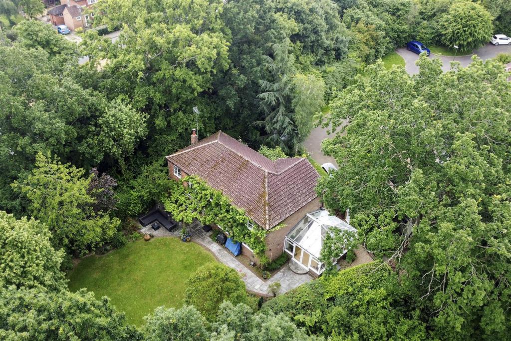 Badger Copse, 6-007.jpg
