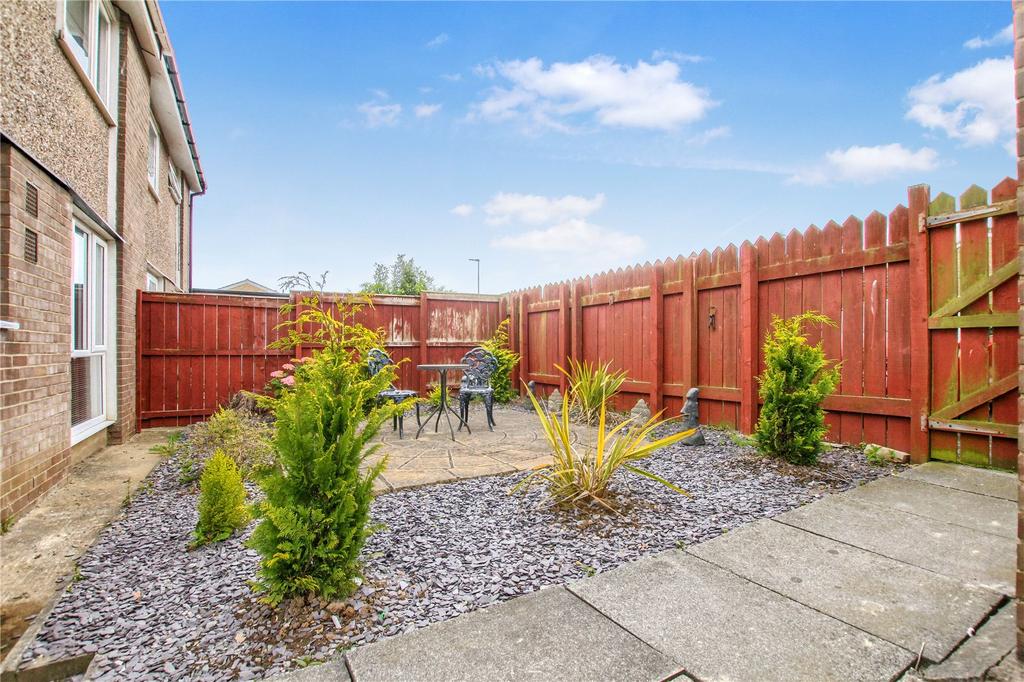 Picture No. 17