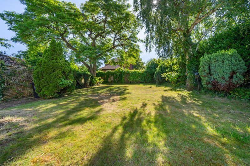 Garden (1)