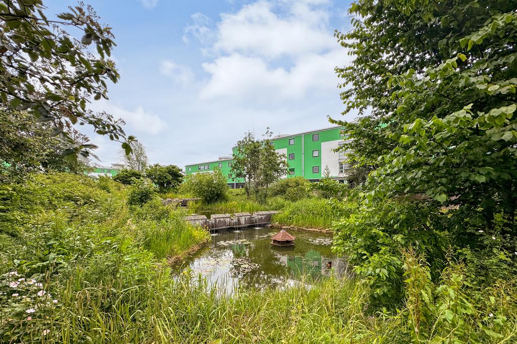 Property Image 21