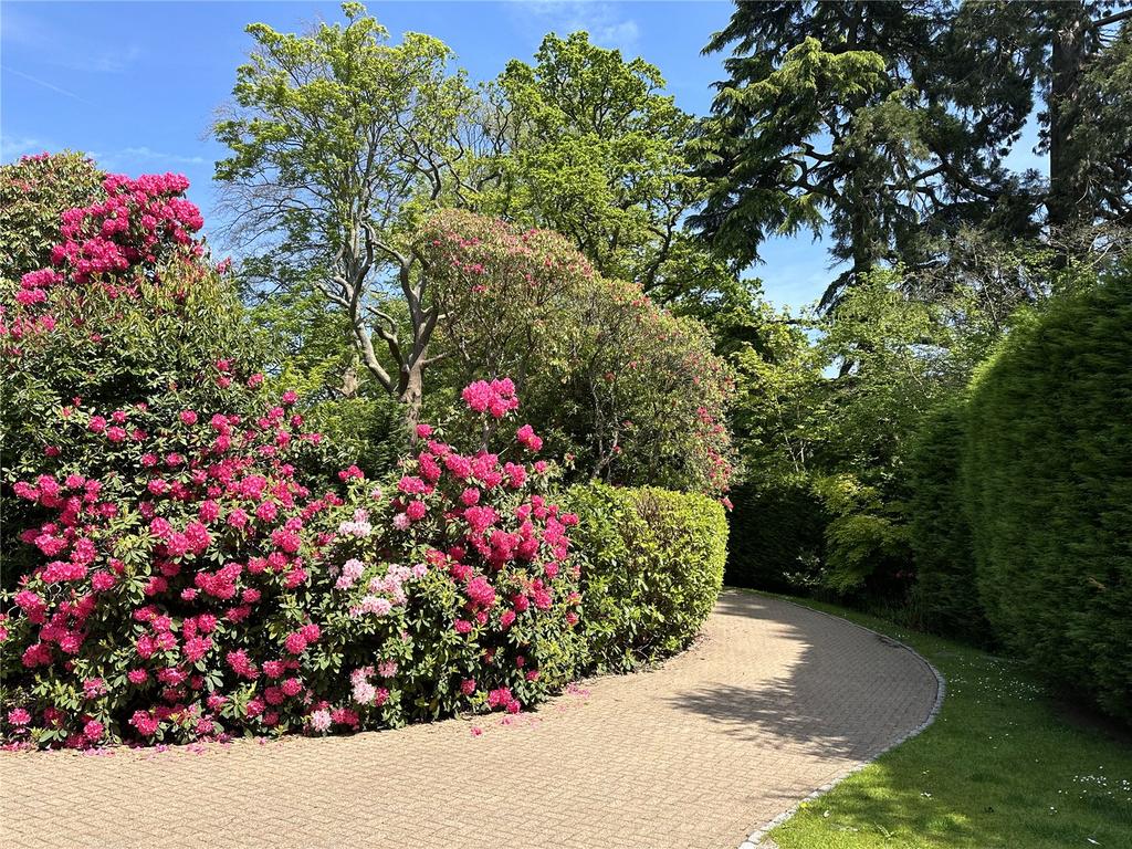 Sweeping Driveway