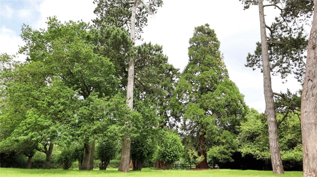Woodland