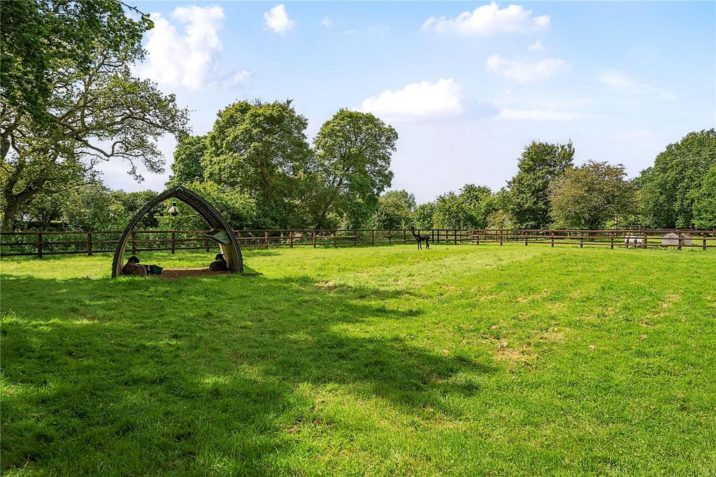 Grounds