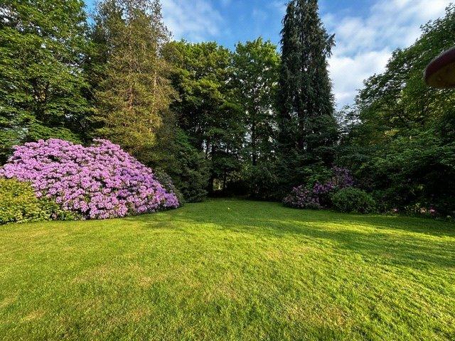 Communal Garden
