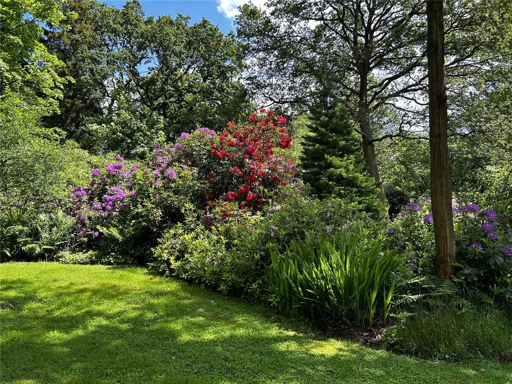 Communal Garden