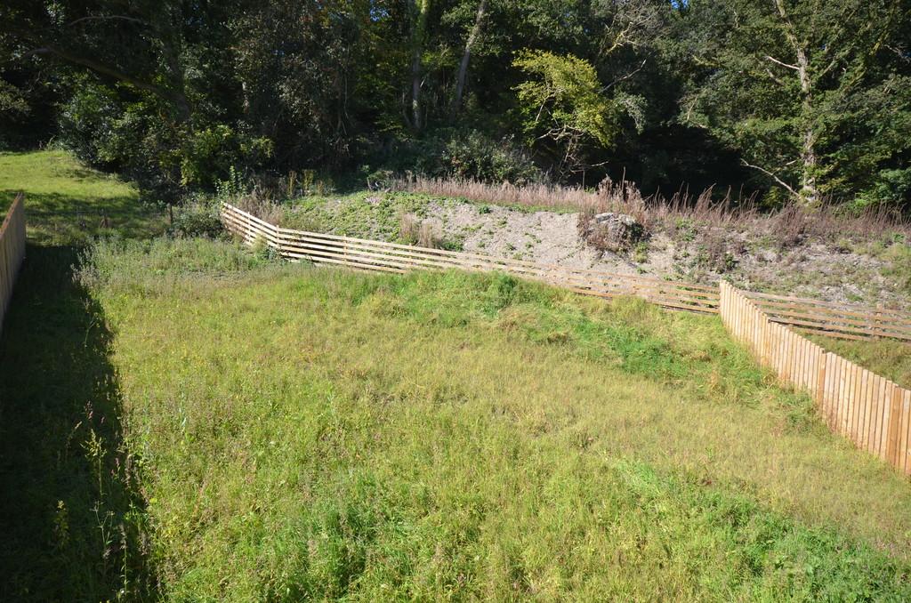Rear garden 22