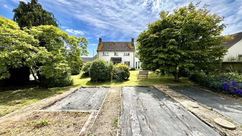 Vegetable Garden