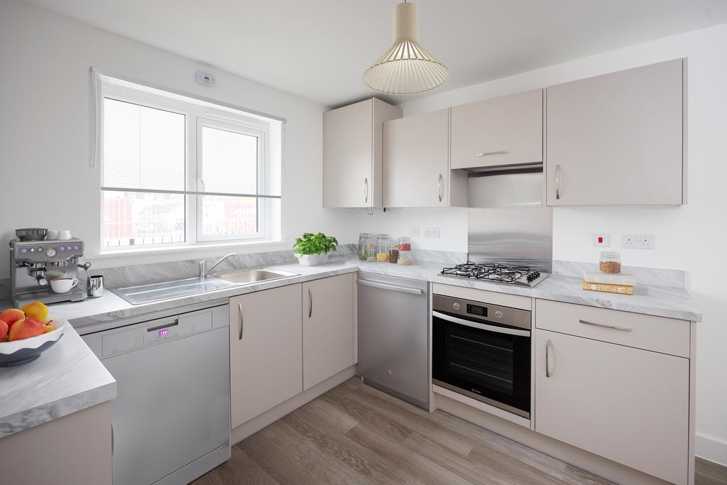 CP Sher379 150725 37