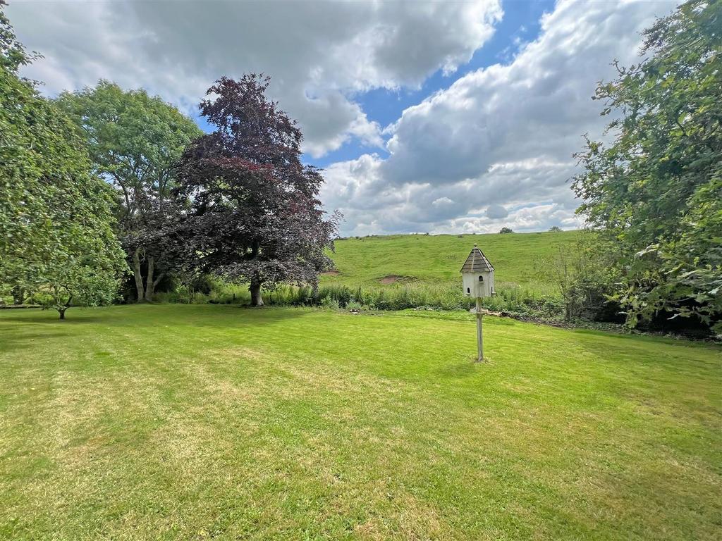 Garden and views