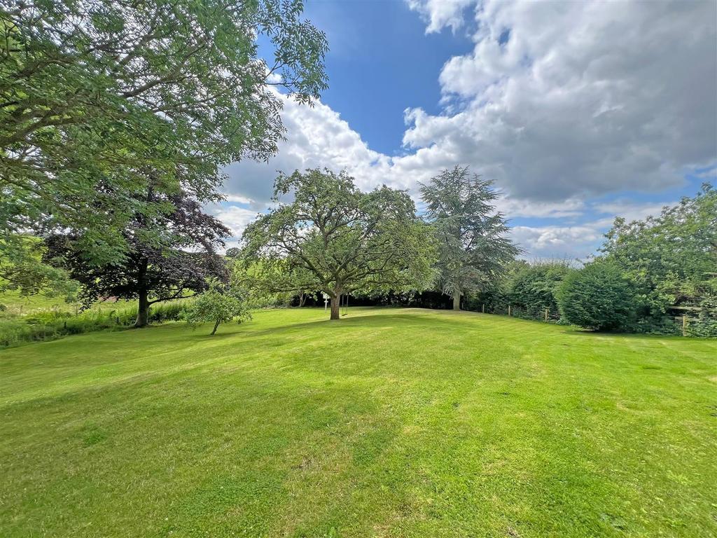 Garden and views