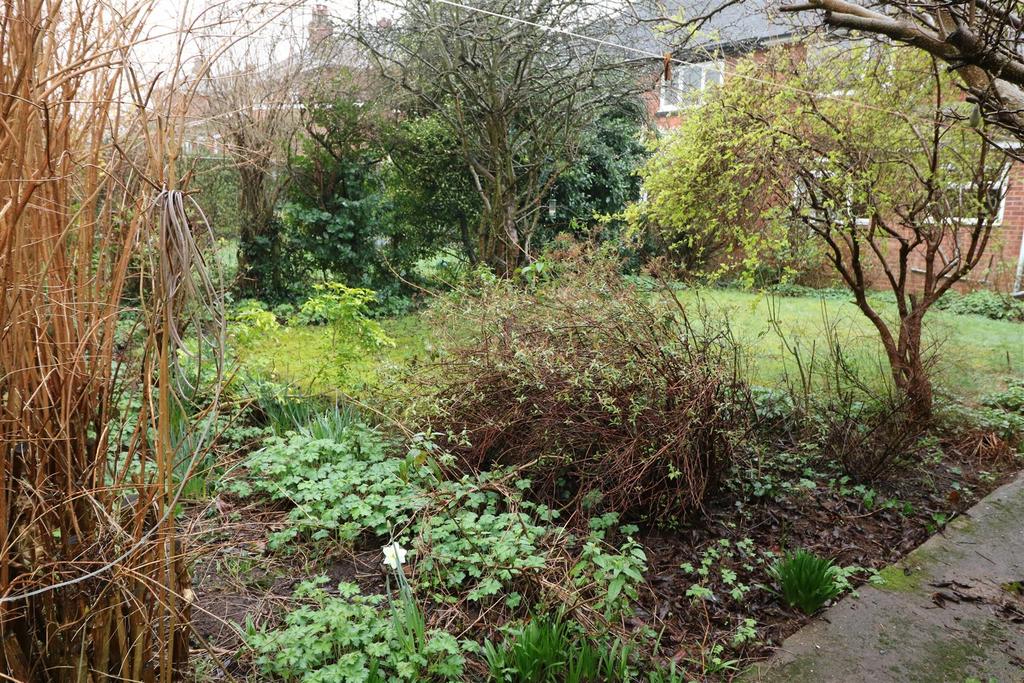 12 lisle road garden 2.JPG