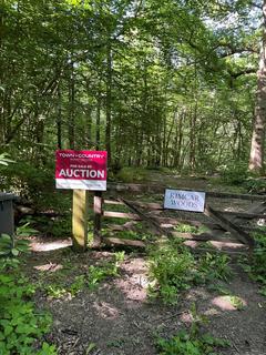 Land for sale, Woodland at Callums Wood, Catsfield Road, Ninfield, Battle, East Sussex, TN33 9JA