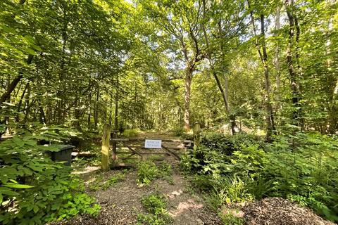 Land for sale, Woodland at Callums Wood, Catsfield Road, Ninfield, Battle, East Sussex, TN33 9JA