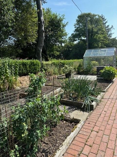 Vegetable Plot