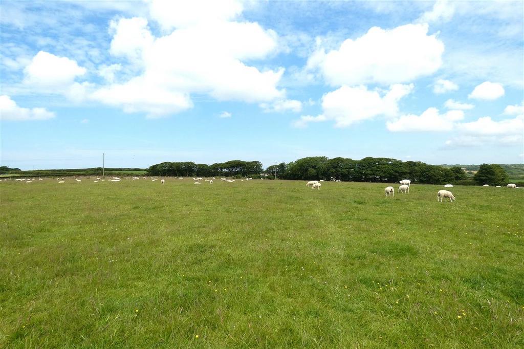 Land