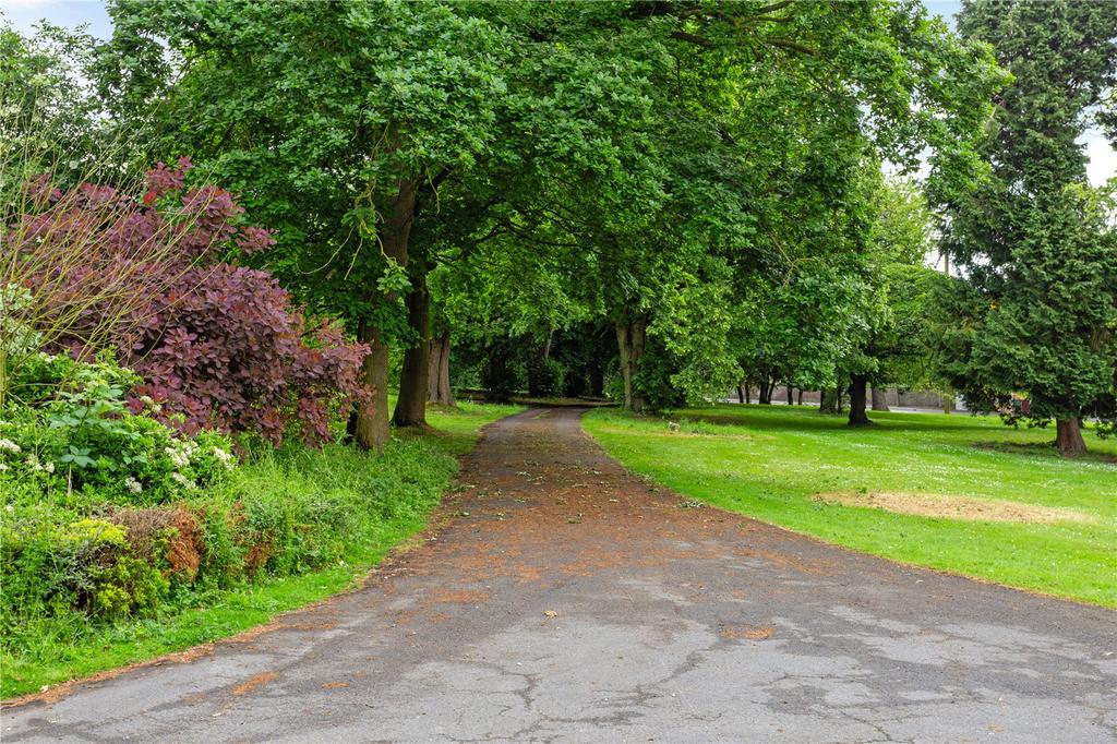 Driveway