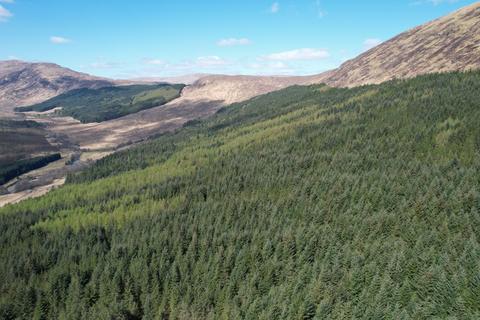 Woodland for sale, Glen Loy Woodlands, Near Fort William PH33