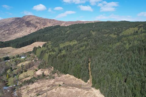 Woodland for sale, Glen Loy Woodlands, Near Fort William PH33