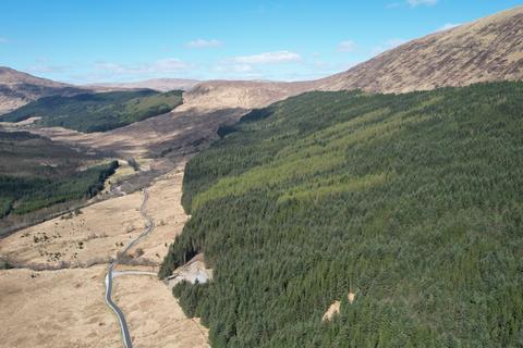 Woodland for sale, Glen Loy Woodlands, Near Fort William PH33