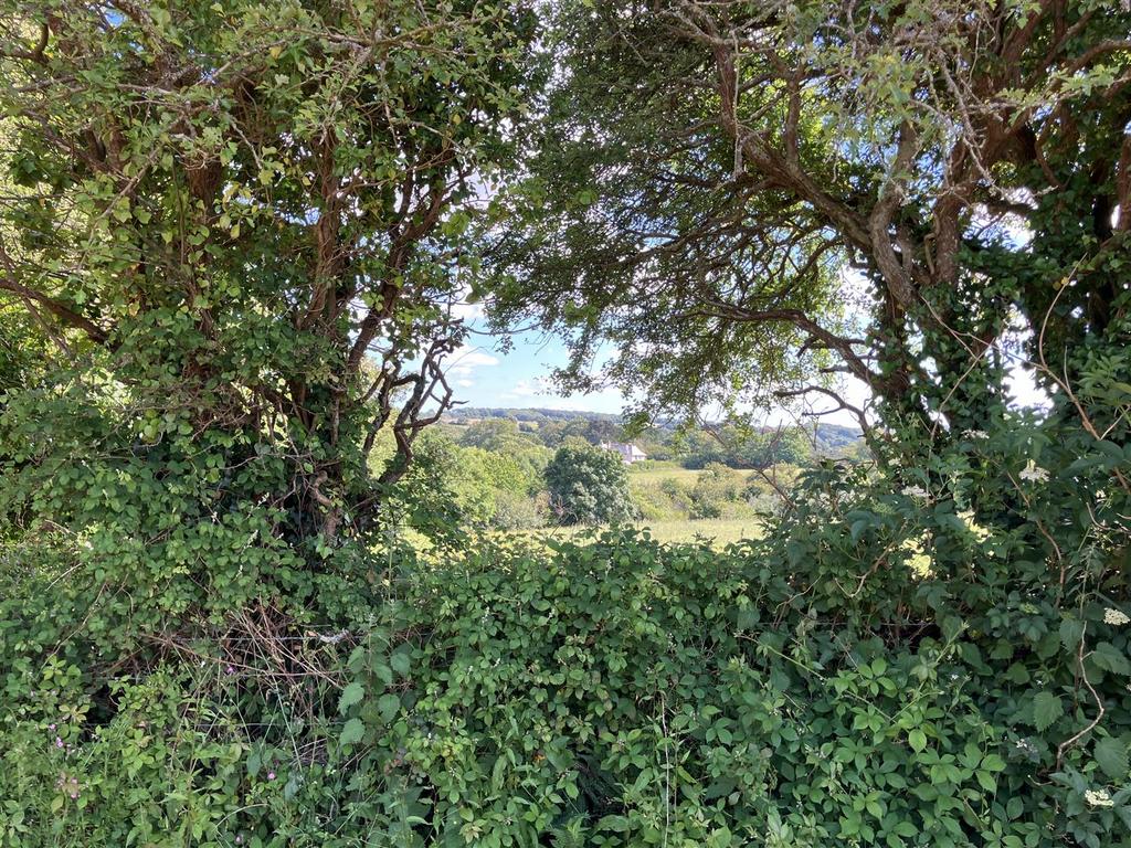 Image00004.jpeg