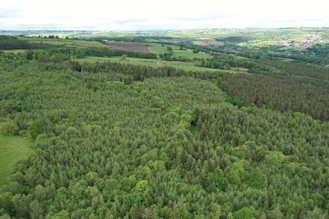 Woodland for sale, Hamsterley Hall Woodlands, County Durham NE39