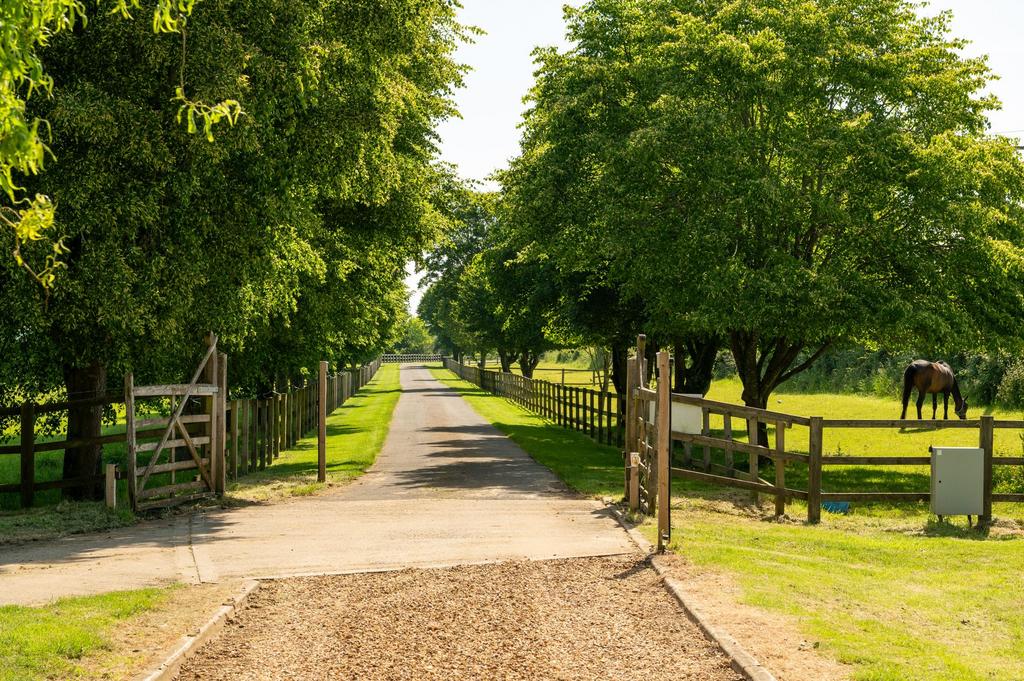 Driveway