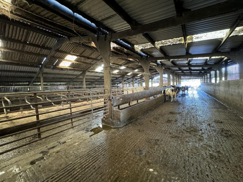 Central Feed Area