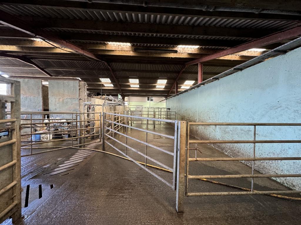 Milking Parlour