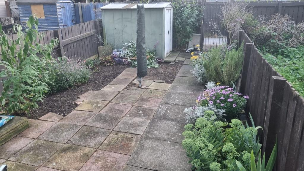 Photo 2024 08 06 13 32 04