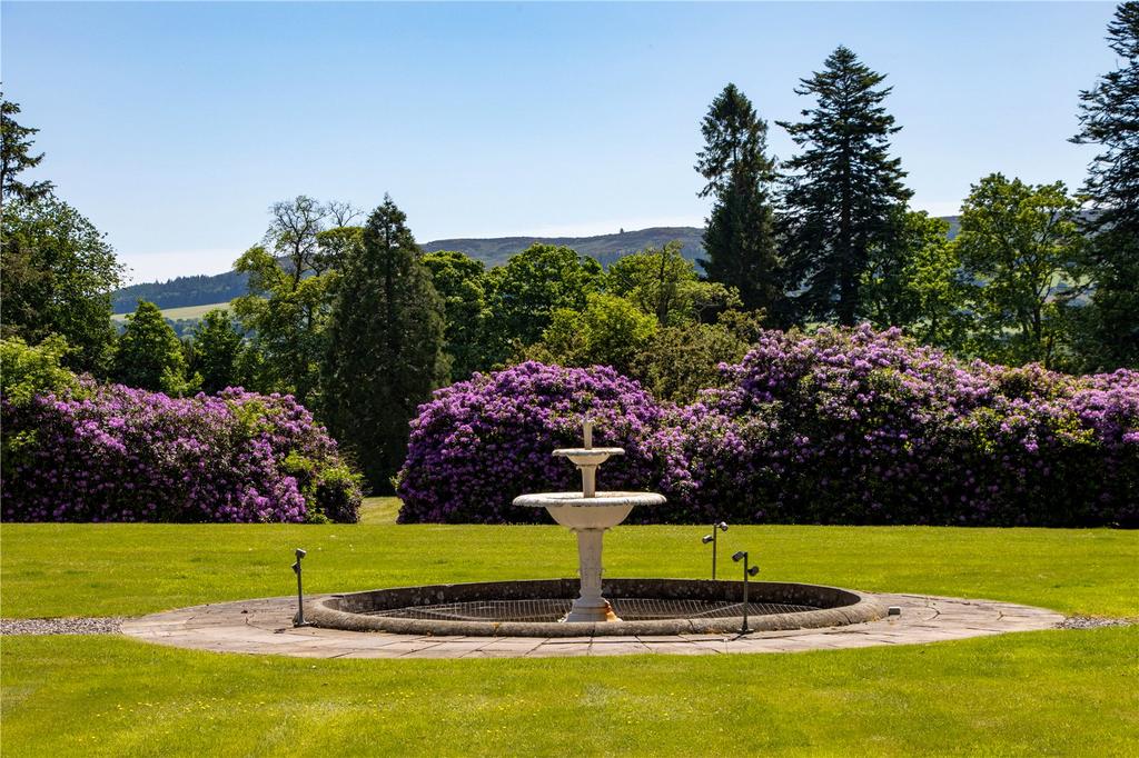 Shared Grounds