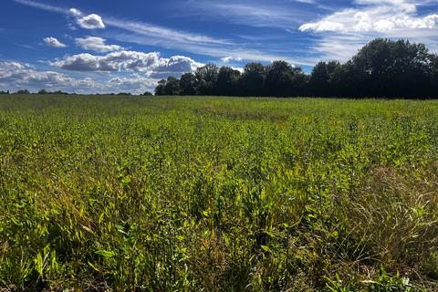 Land for sale, Land at Somersham, Nr Ipswich, Suffolk