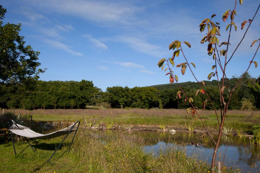 The Old School House View of the Pond.jpg