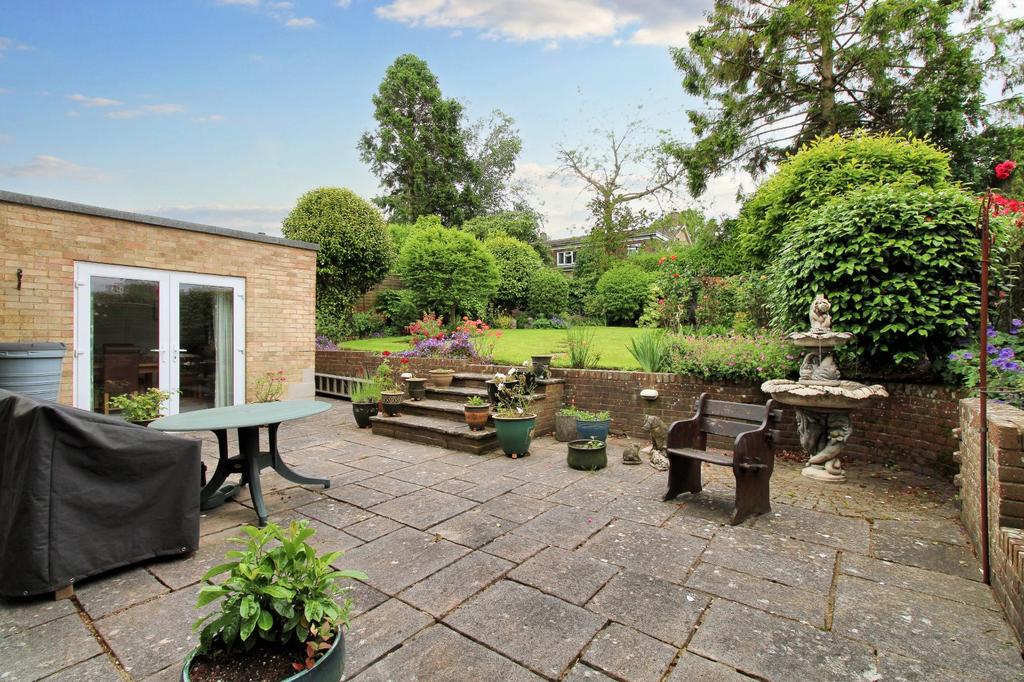 Patio Area