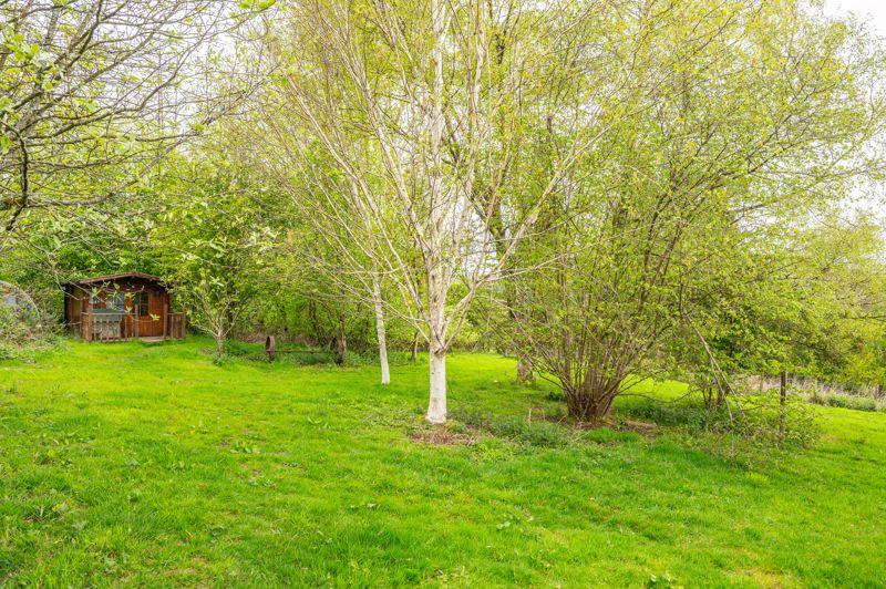 Cabin and Garden