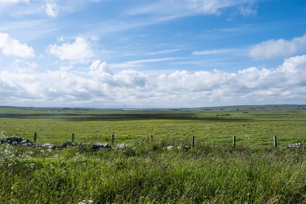 View from house